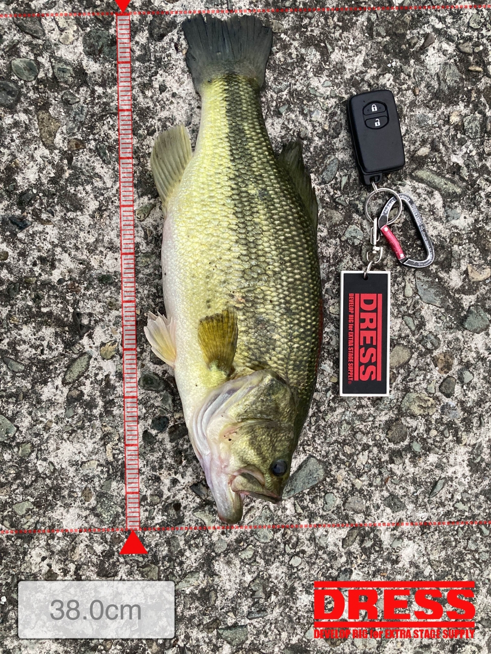 9334_0_4a2abf7684d4817f052613796ad0ecf9