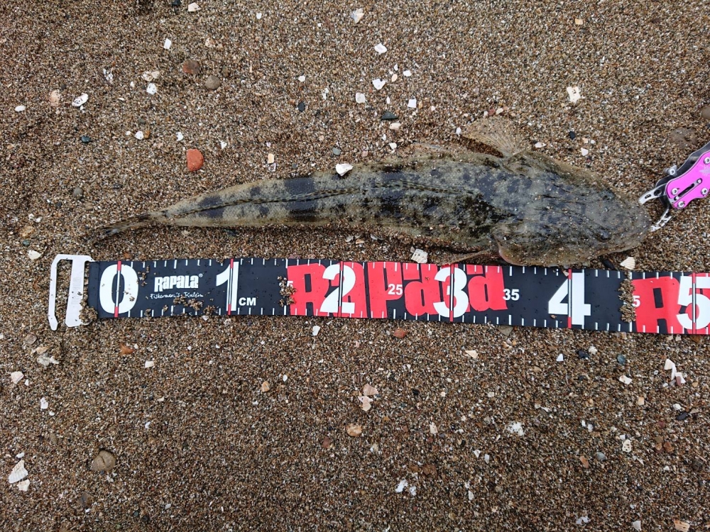 9334_0_9957107ae8bc3158913cab27e08335b5