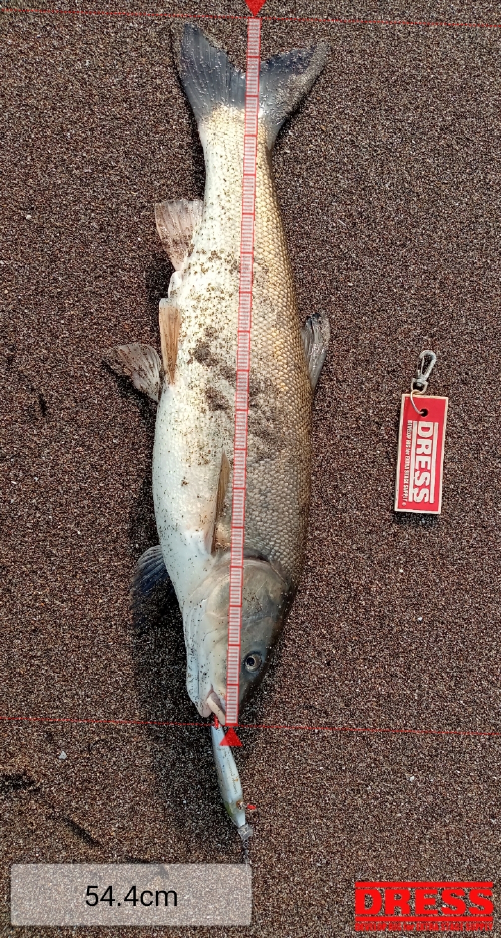 9369_0_1c046222aa50ed417d82d02b1507f38b