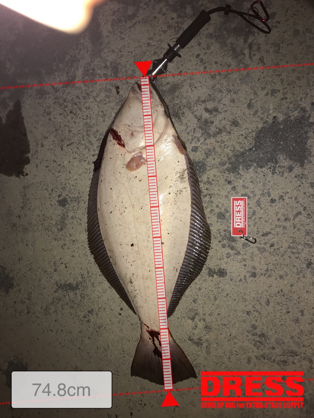 9435_0_08eda4f58241137dd6b8725f62f6f0d7