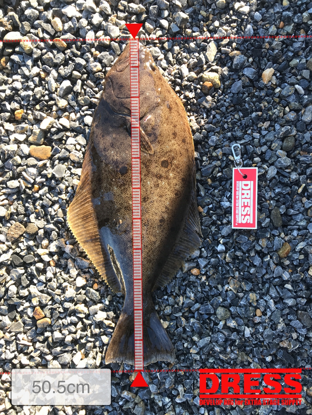 9435_0_fd9b1f50b6cb8100c180f37e55e923f6