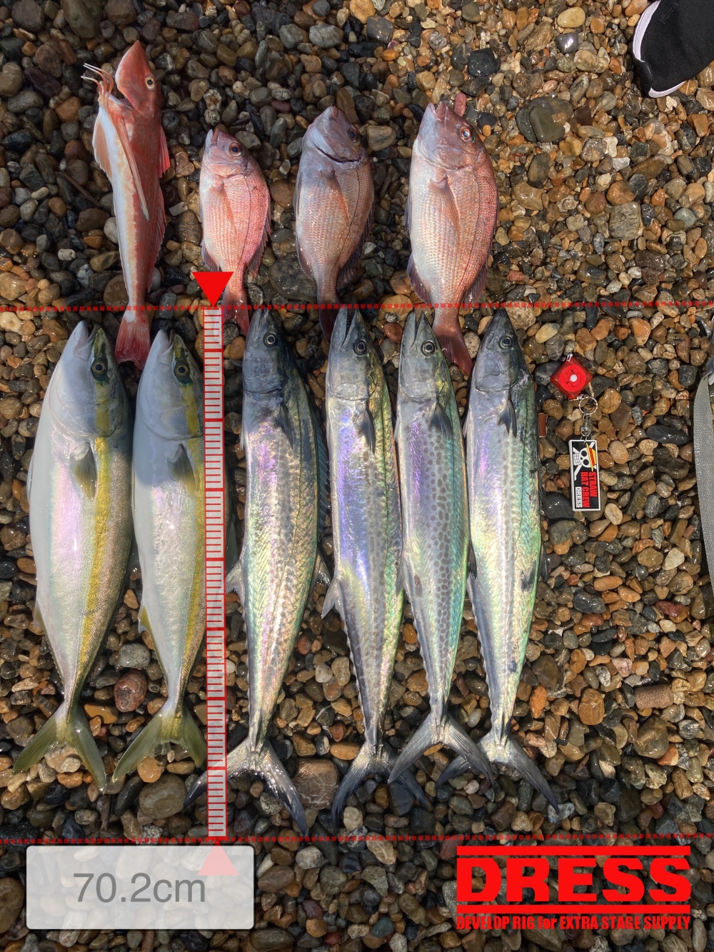 9450_0_542f57b0f411d04bc9dfa61c6a30888f