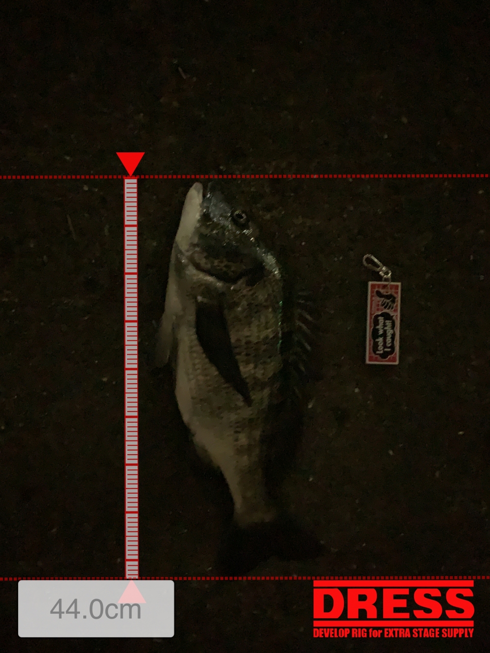 9489_0_531f31f71685bc1df40c30a04313b4cd