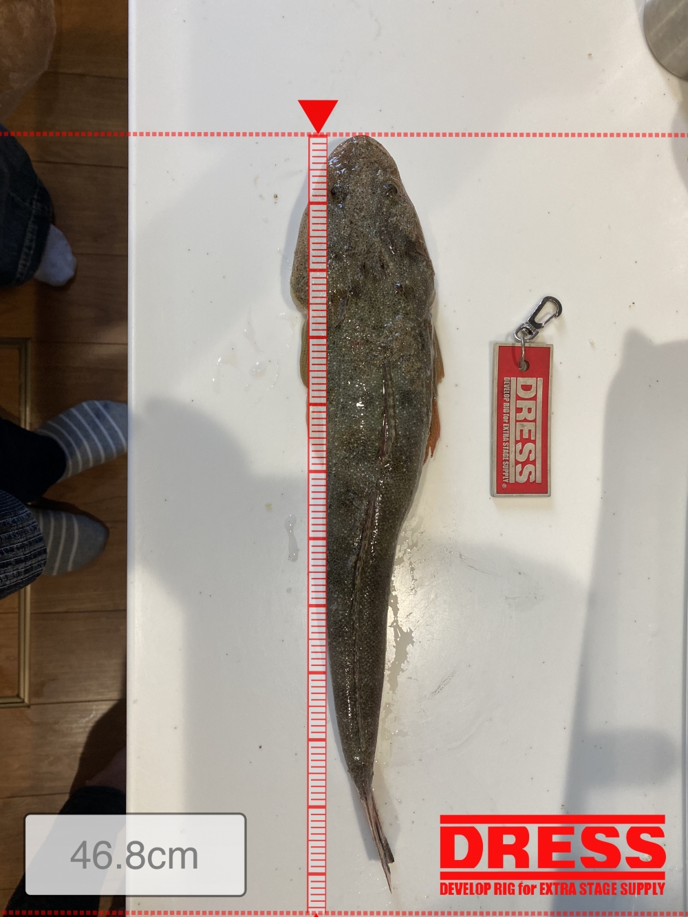 9562_0_01e5abfd85e4c21aacfcab03e028c9ea