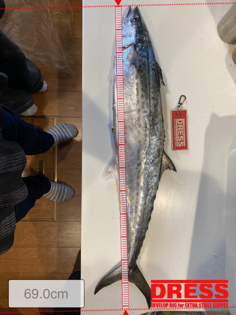 9562_0_5fce0c9ad7bd38e16327105add80a2b3