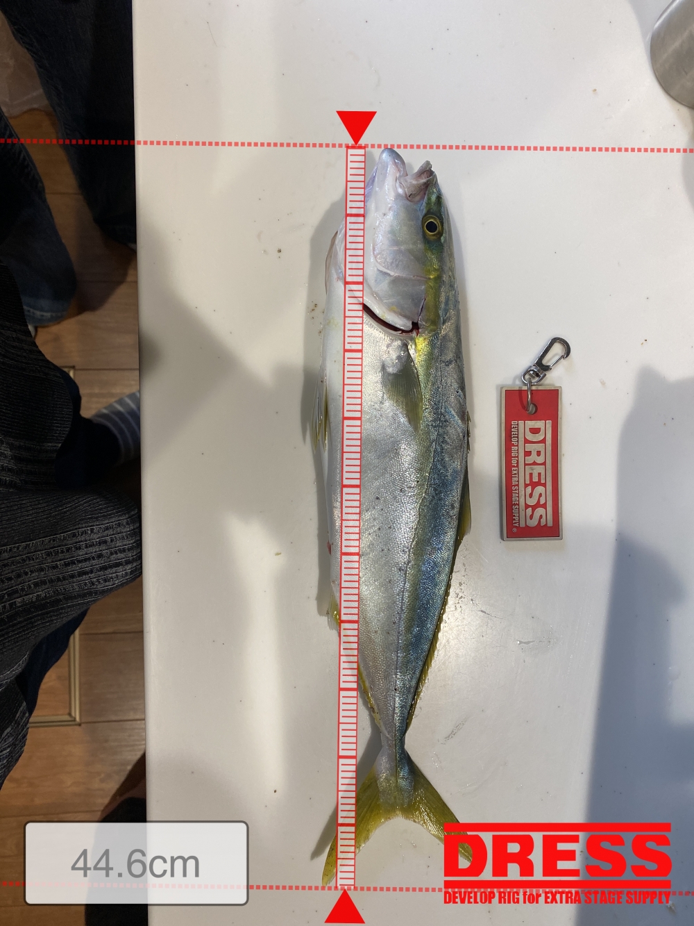 9562_0_b0fd45ebf290c0316e235be61b80bf42