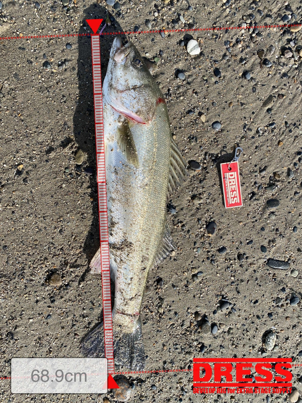 9562_0_ee6a59cb819f9752dbe30f5247c9a628