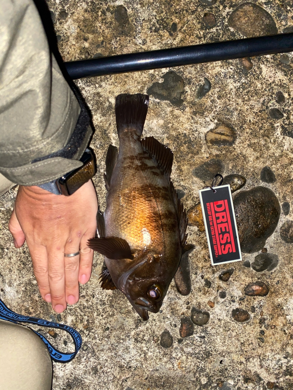 9603_0_8d874f3e323d7529d80a488ef2bc9945