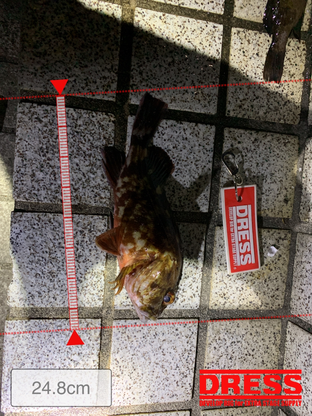 9612_0_b54eef6e99287790183c5c24c946611c