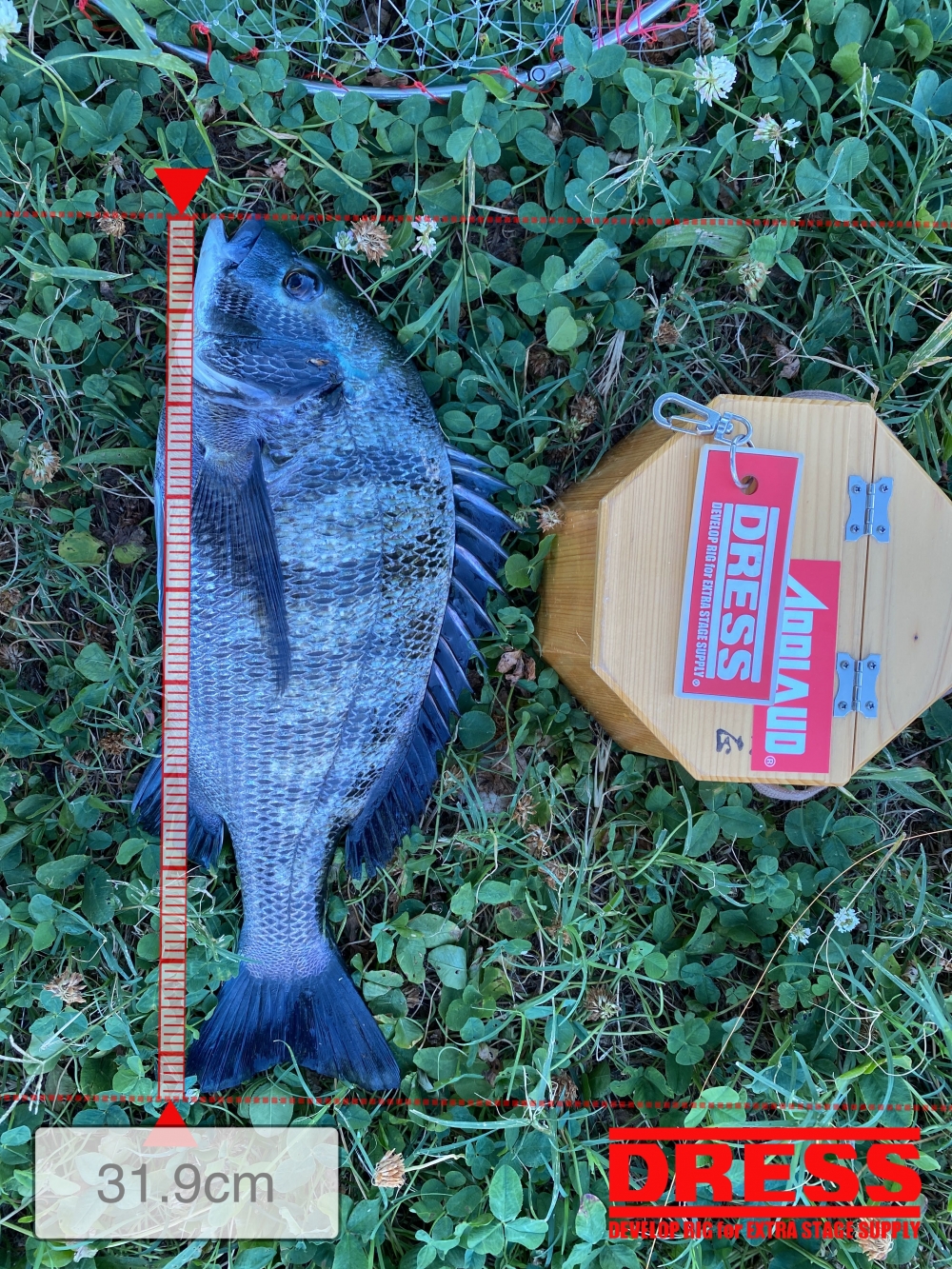 9646_0_2f446f10a74714217feba6d25b2e16b0