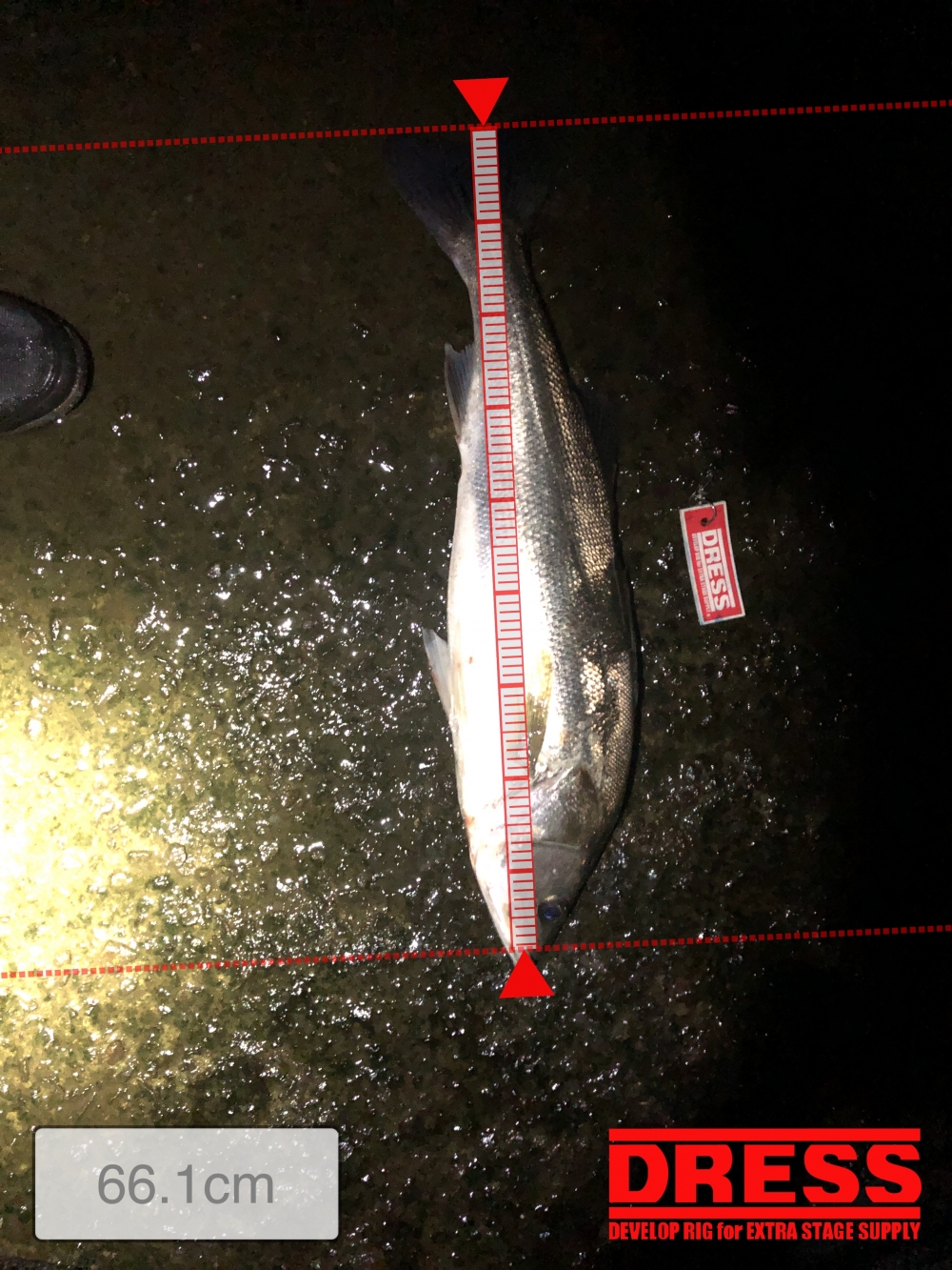 9654_0_2dc969727149639e991897c30ca63f26