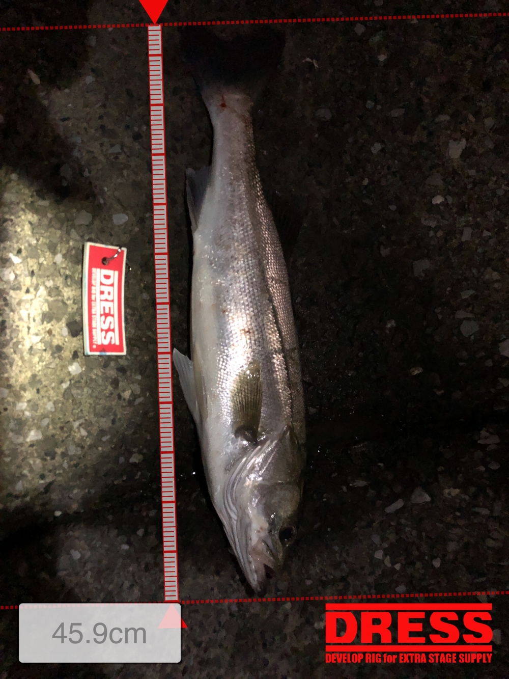 9654_0_e7111e6a33ce664eb1c2615281e528a9