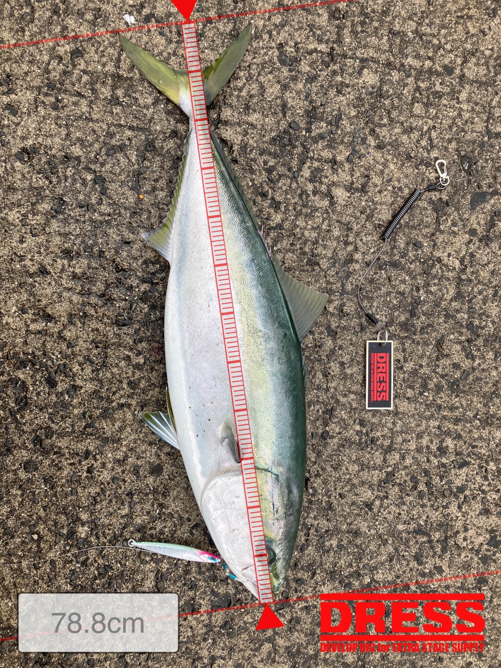 9687_0_0ec5d74ae595279a0689f32bfdc4db85