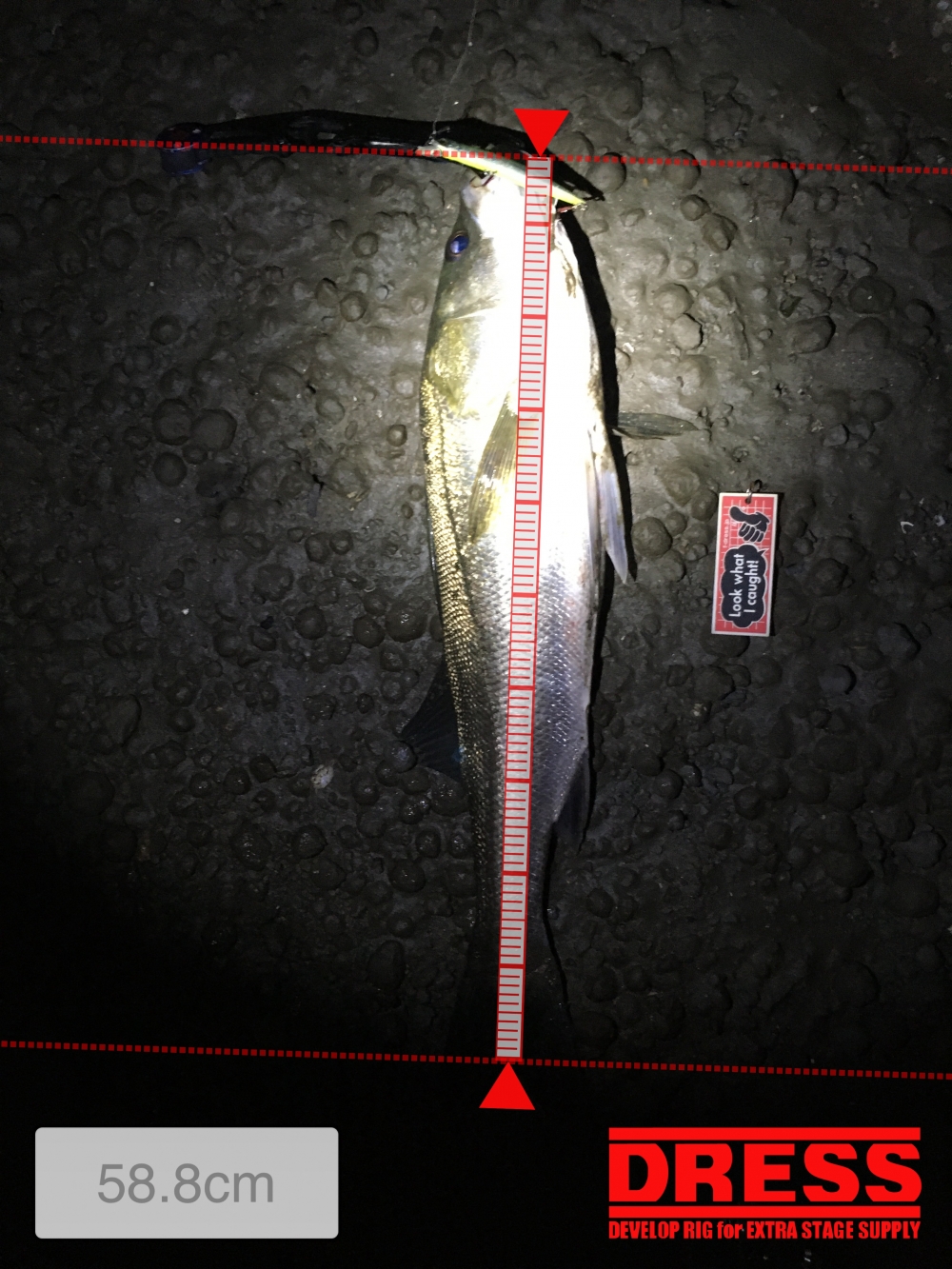 9687_0_2259099bdfb94426503d5a4953c3efc2