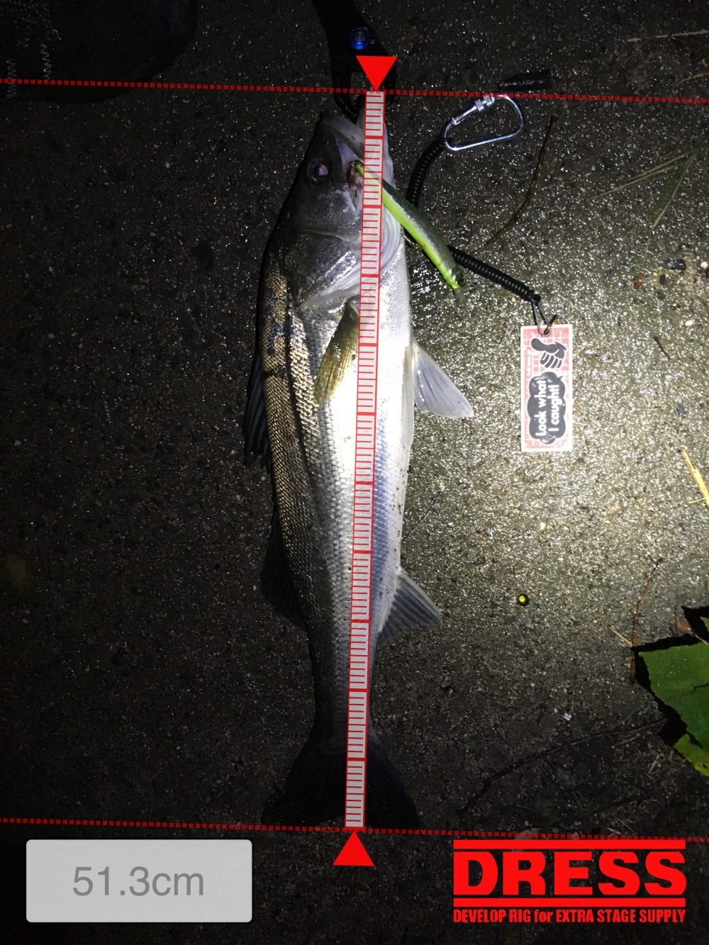 9687_0_2b0118786781fffd7089ef4adb0e5783