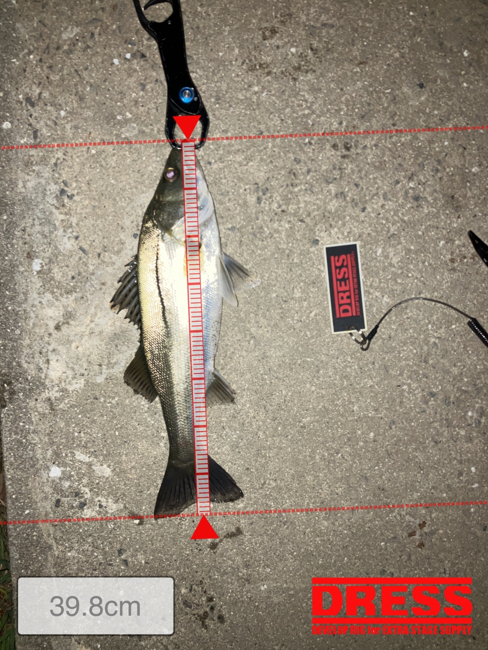 9687_0_43606f93783d32f22b267419d374bbdd