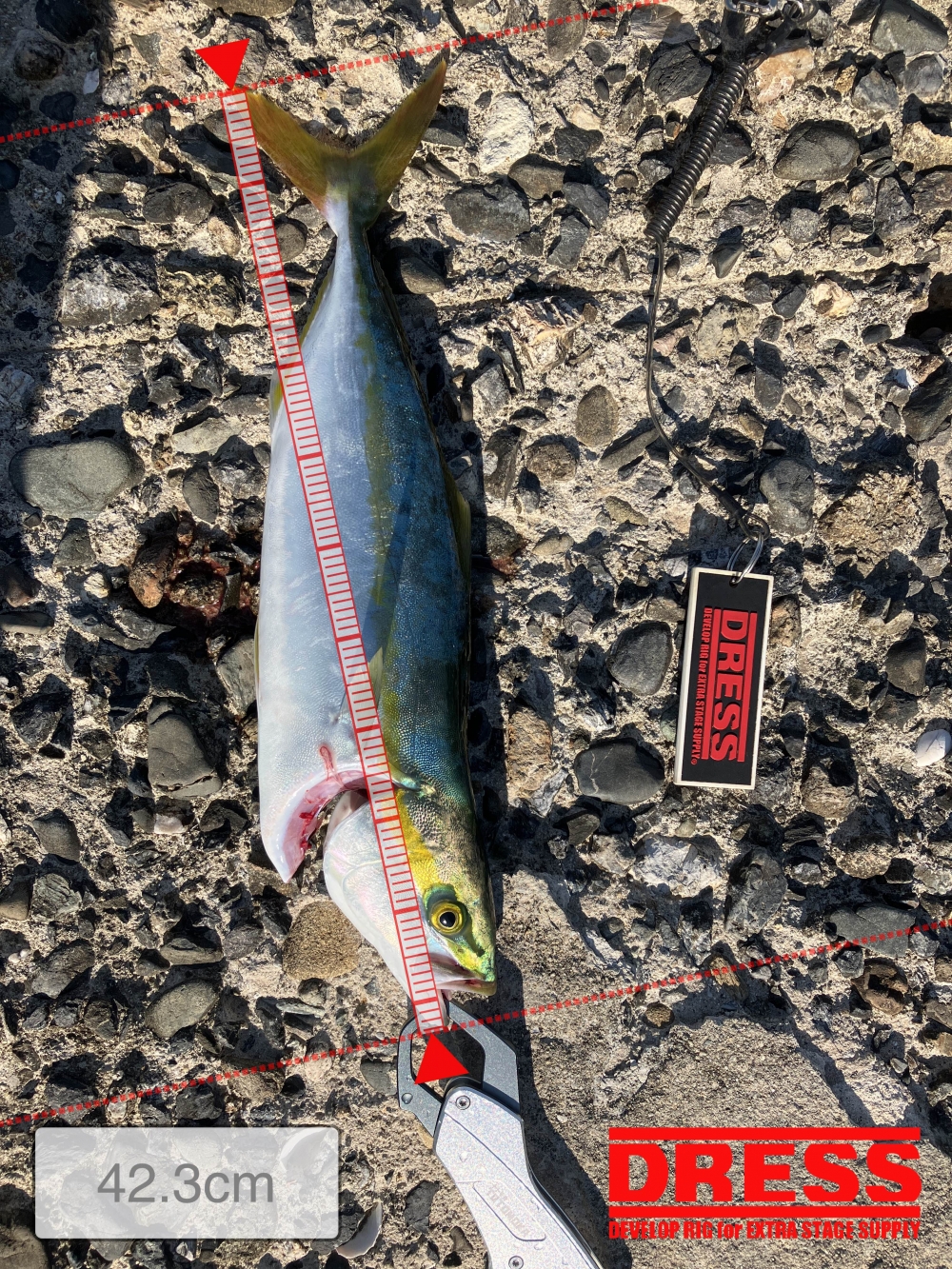 9687_0_9be512c5046221220ab312c71d66845e