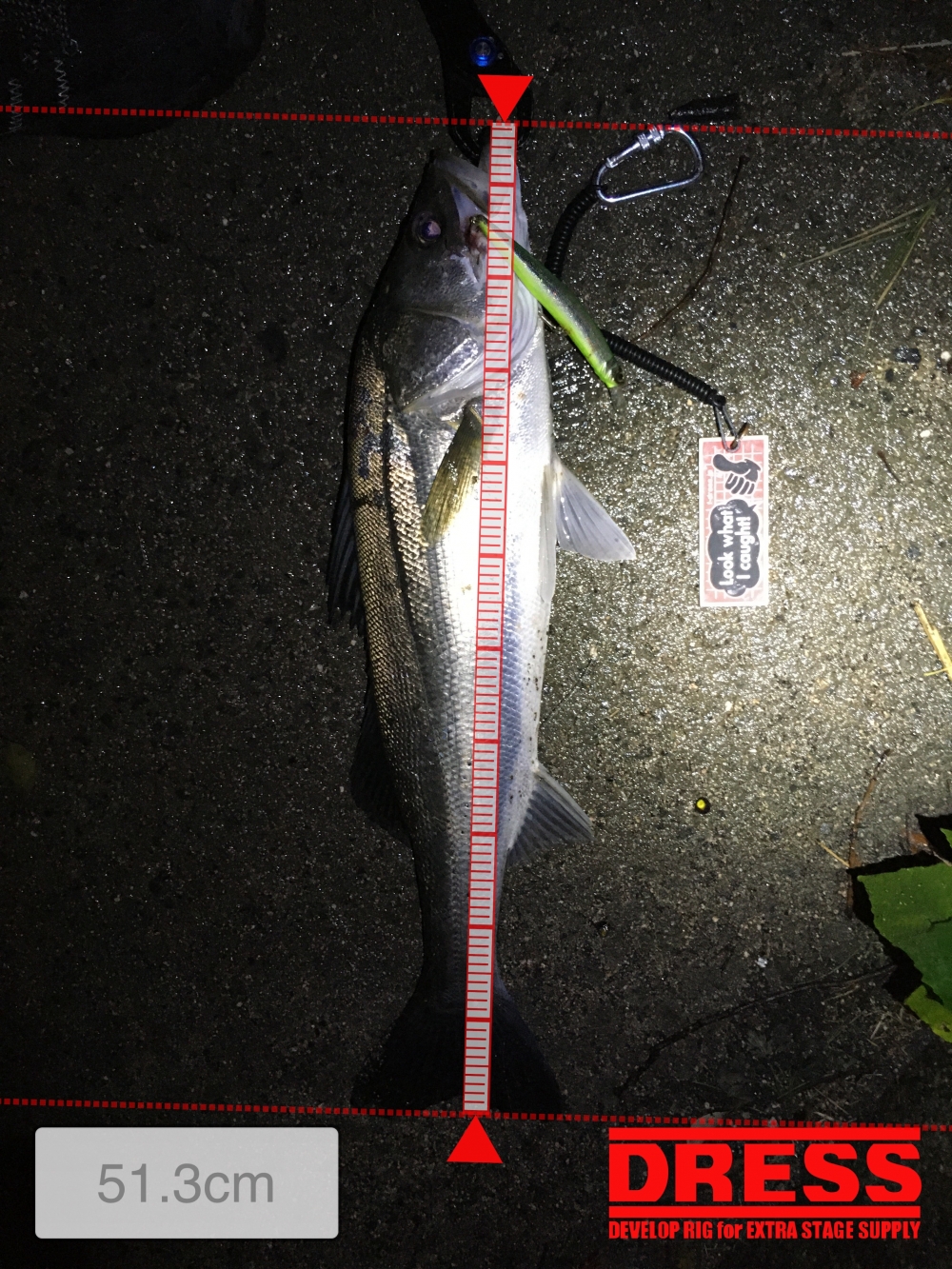 9687_0_c1ed884f41c8bcee8d7af8283d38a9e1