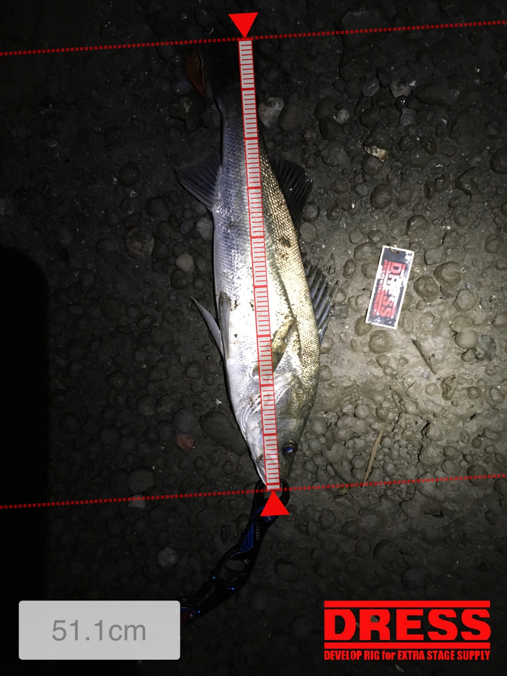 9687_0_f34c8fbdf289ad2714fa0ecfa9a43465