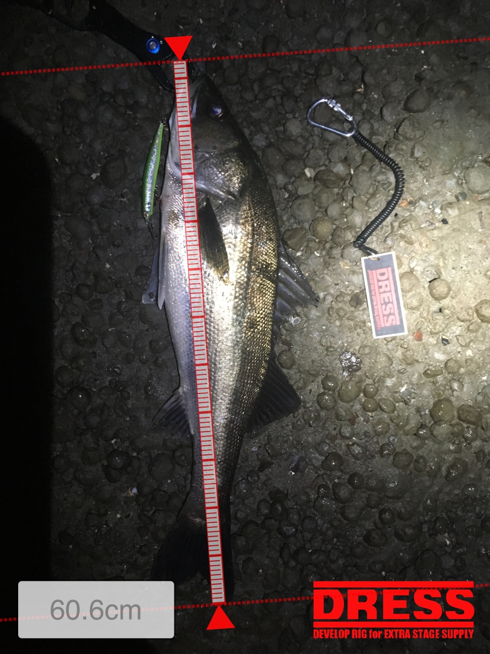 9687_0_f40e93cb71f727d067a091b753094ee9