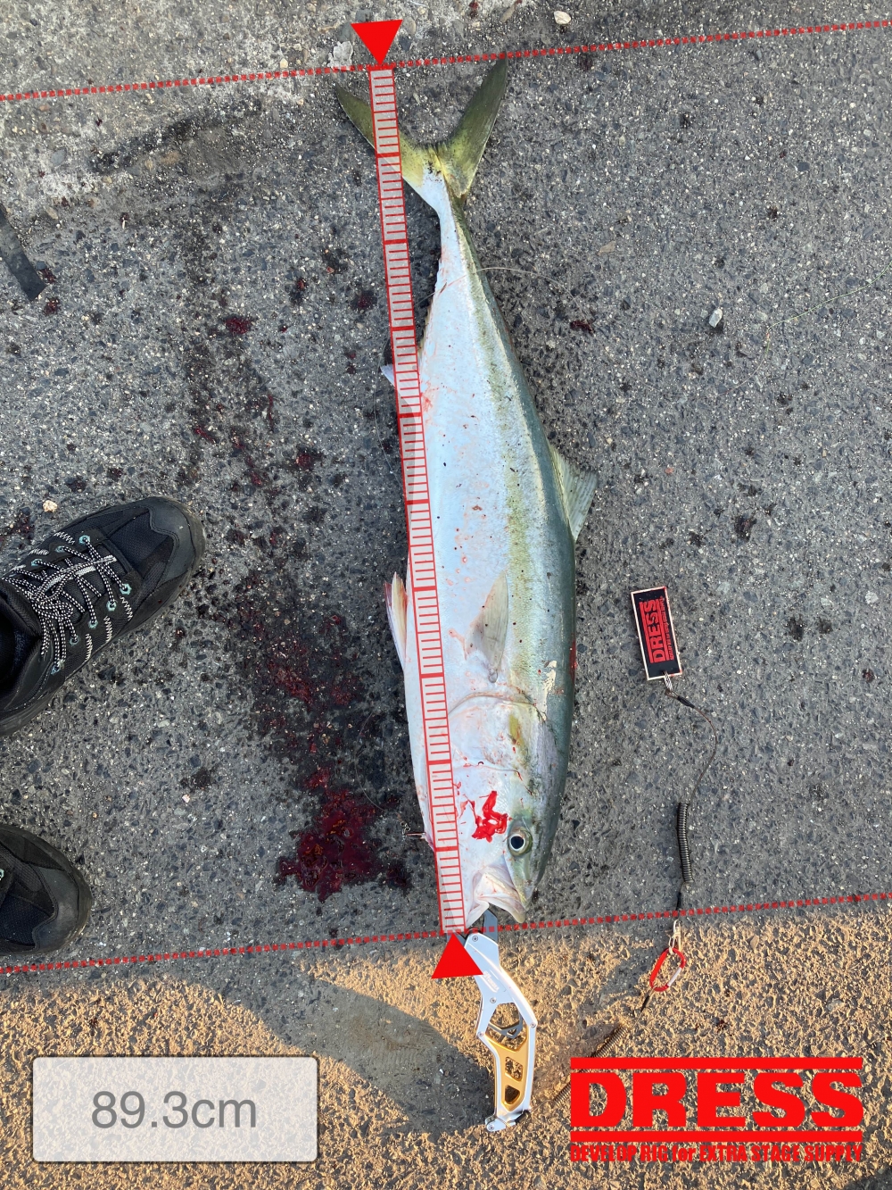 9687_0_f426474cf99865e645193a27da3635b4