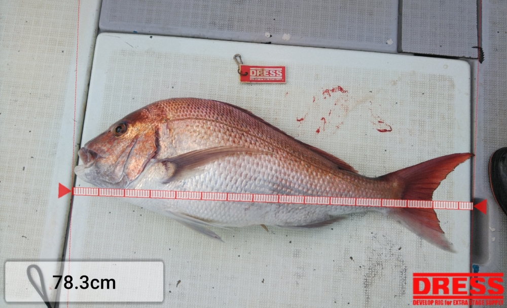 968_0_57a3ef483a892d48e869a6b4df44e199