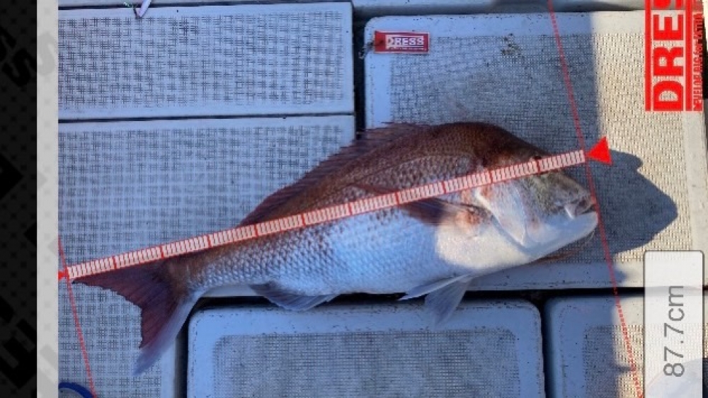 968_0_72d156578082dc08488da94af0dd2661