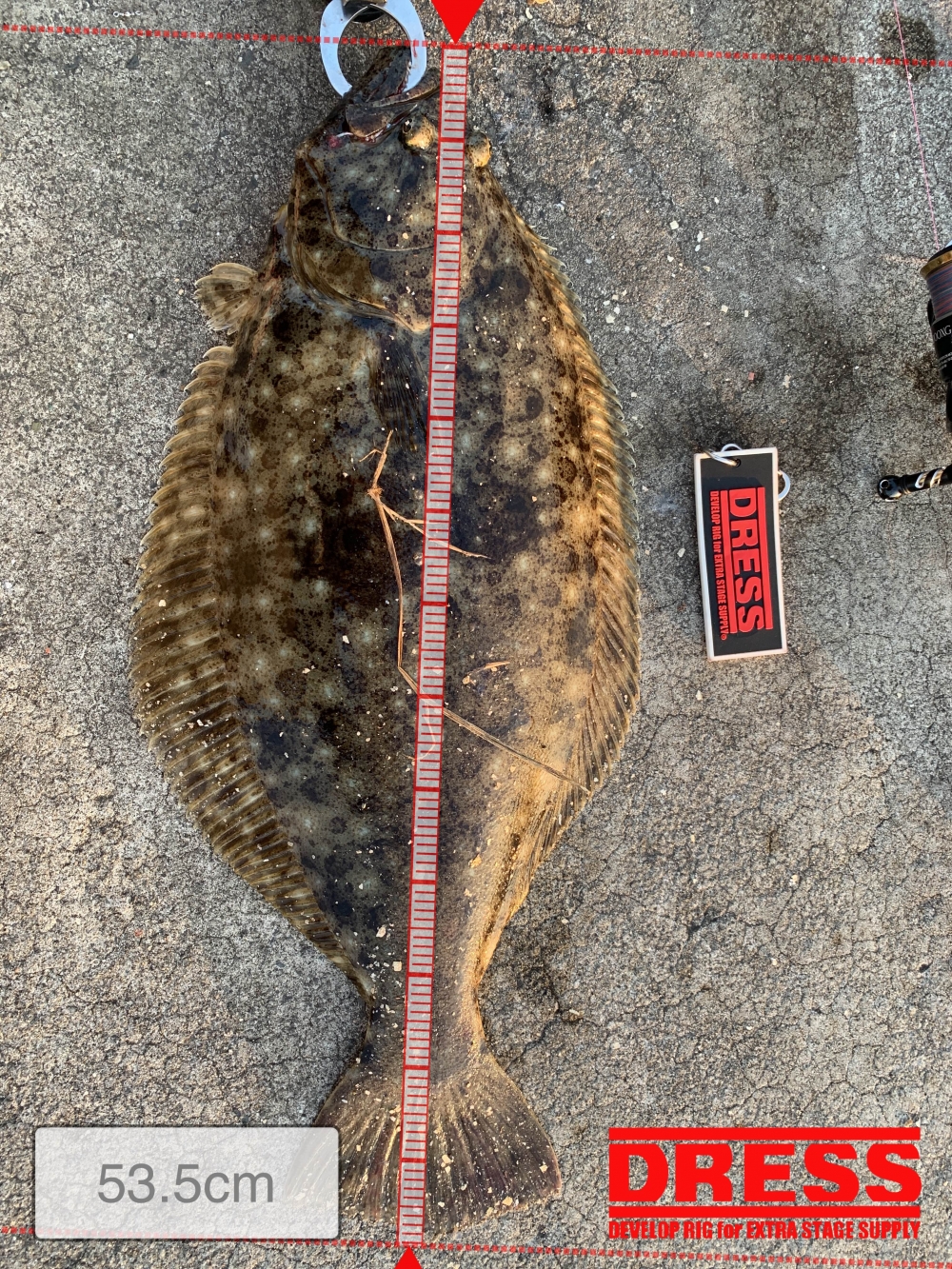 9828_0_17f1aecf6a562bb06174d28cbbf5ff5a