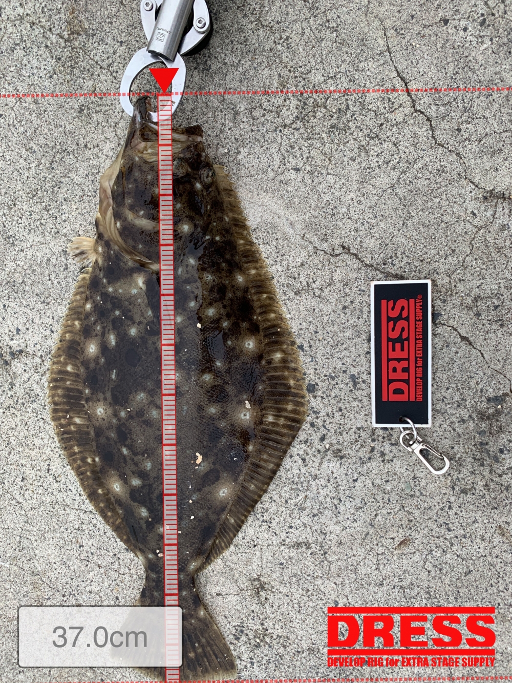 9828_0_2892095b802d3a94a4aad58b97b8882e