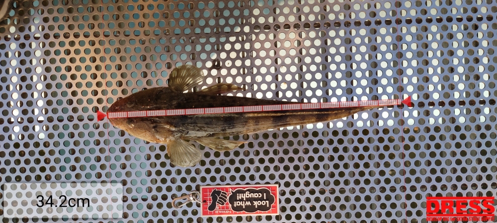 9834_0_c9e7c7064b0ba082714ee78b6e2f3581