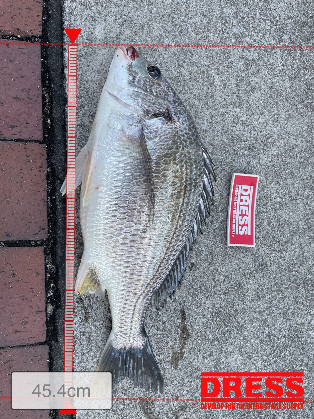 9863_0_0725234224be986df53cbec0aeb94770