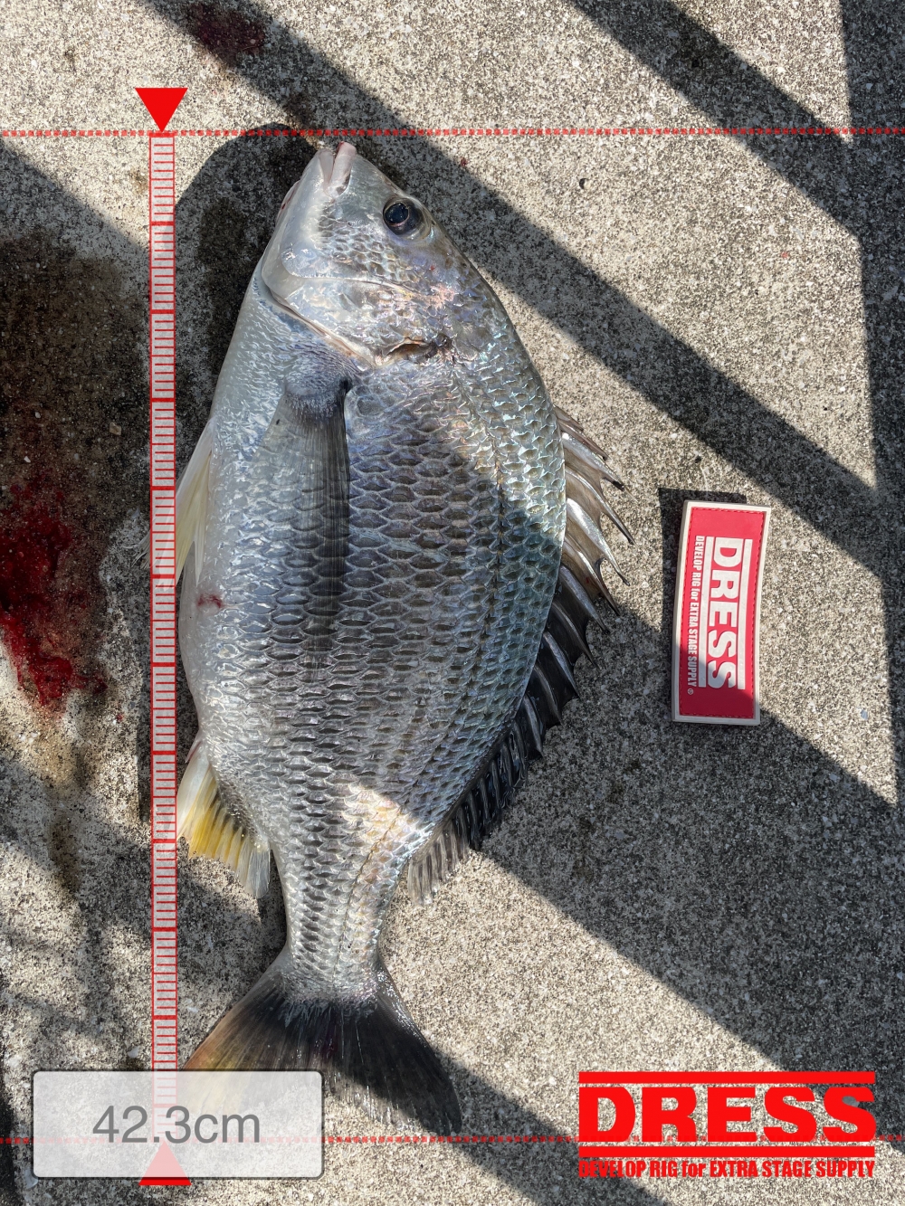 9863_0_0b44cbd5a740c1ef3f8845f1321c004e