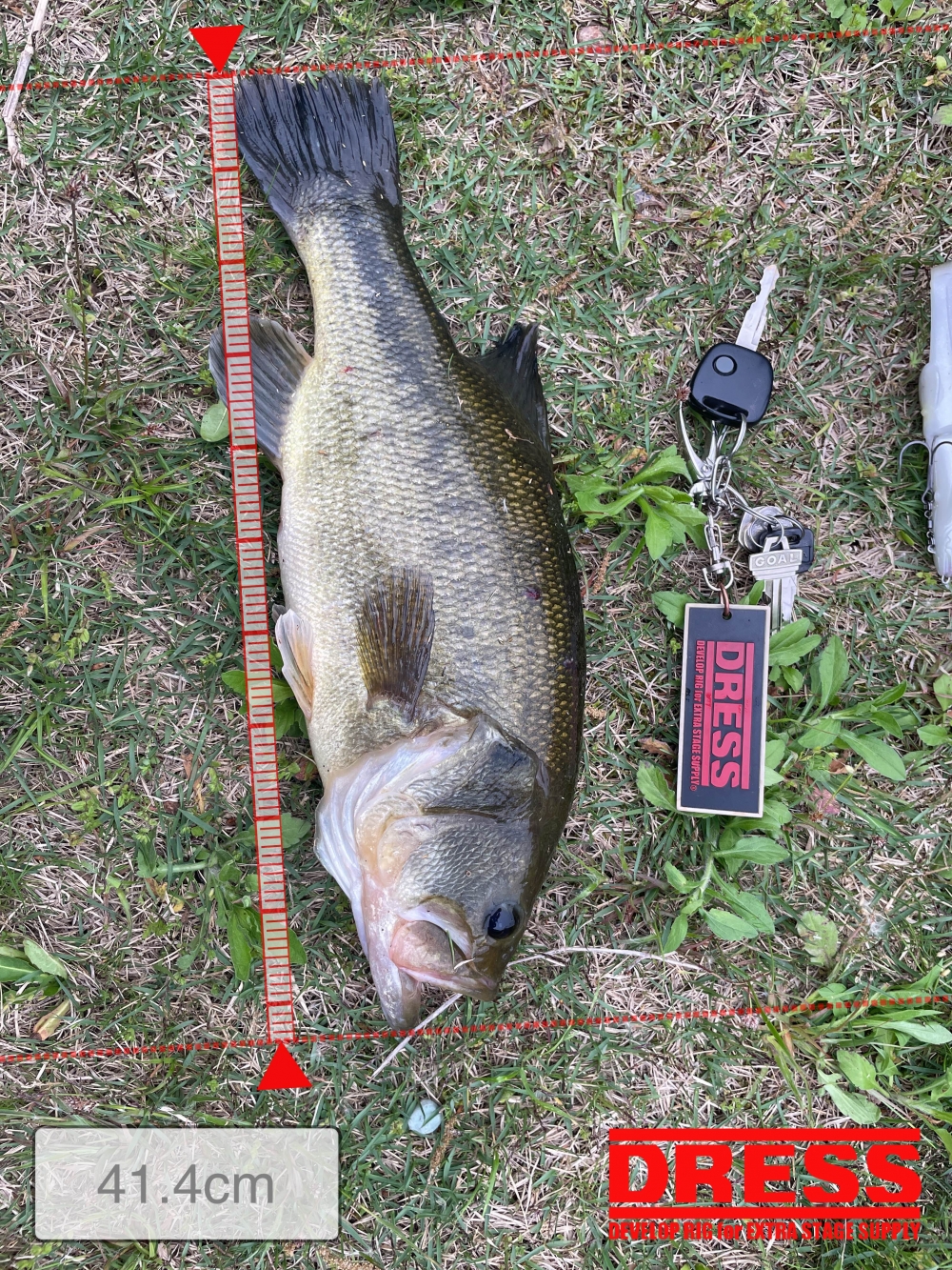 9885_0_a1cc374d83dadfaa81c126089aa69cb3