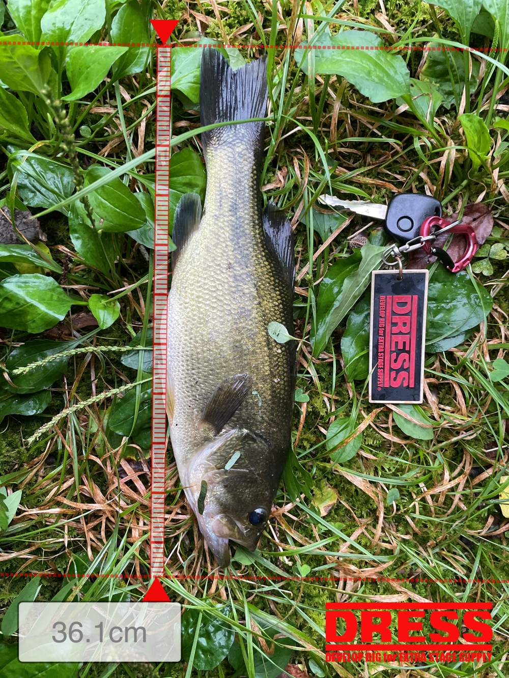 9885_0_b09c59b67a1b1ab1629fdcfd6cd173fa