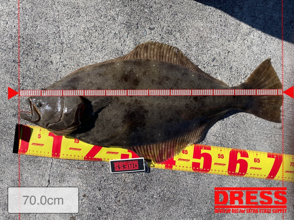 9893_0_1756b8f5feb3ab8547d8703d733ebd84