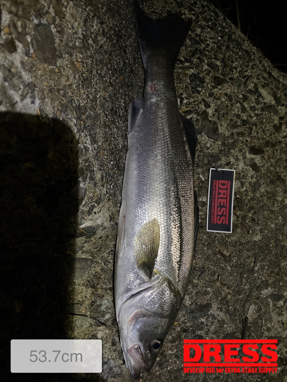 9893_0_ccd6a61efc58c7a991806658f1fd1134