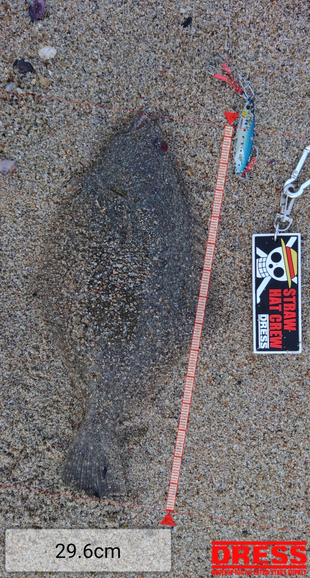 9903_0_3e2e6a6bf679b6eacf5511a7a45f8574