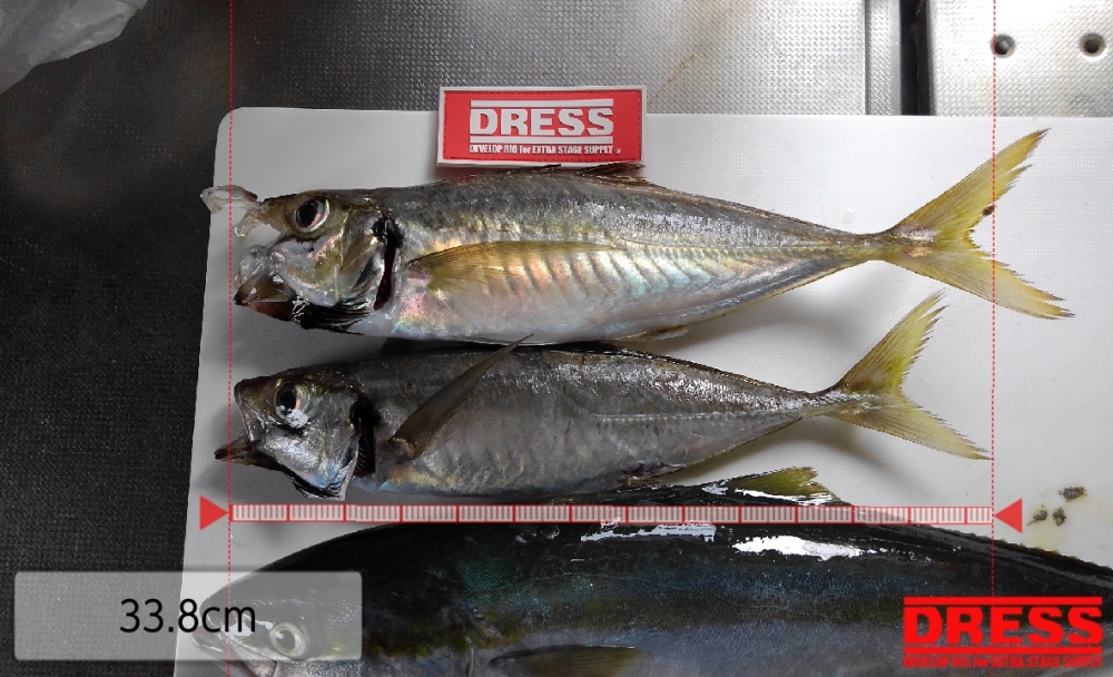 9903_0_4131535f45c1da57524cba2ae7f4d5ca