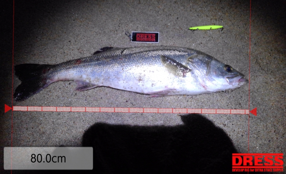 9903_0_48ccb8c3adca6e9f3cbae12c89a56088