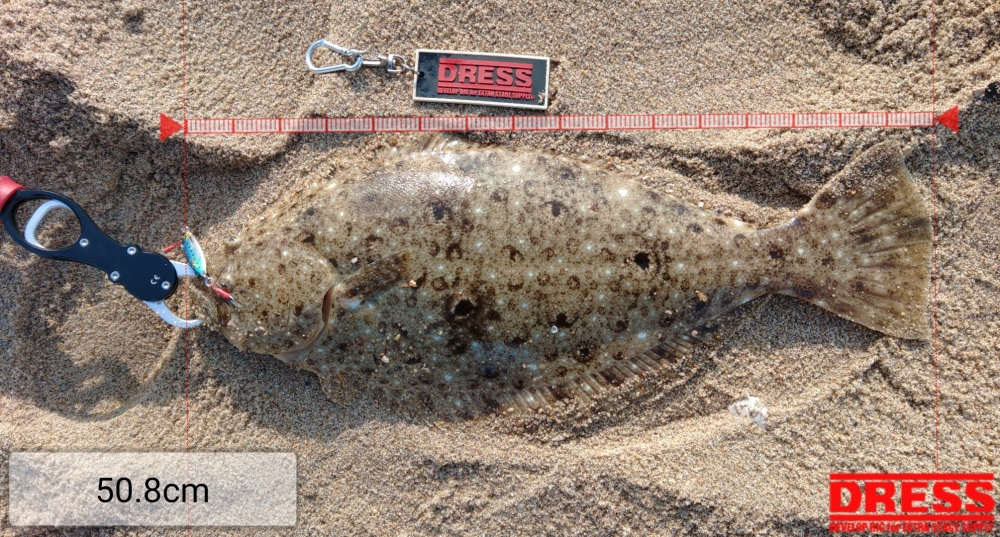 9903_0_88483af7e7220cc02d252028bfdfc5be