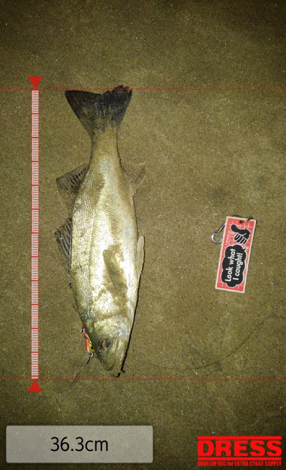 9903_0_9b5518f50b3fae246e3d541355bc2545