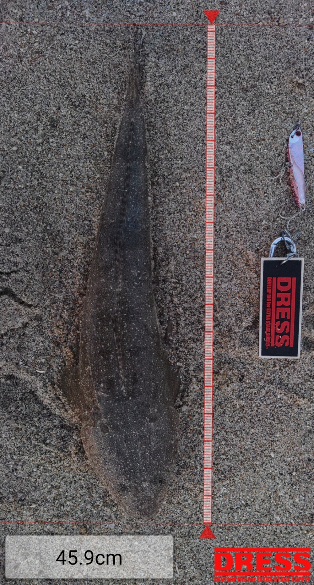 9903_0_b7c6ff82f2e984f71016f6f3d1f3b9bf