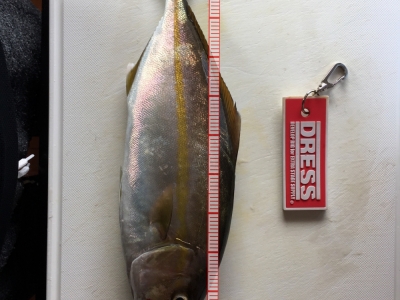 釣れまくり