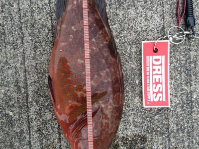 本日３回目の釣行で。