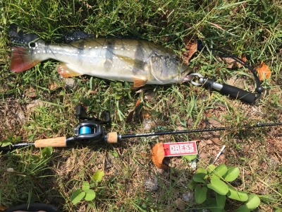 pb