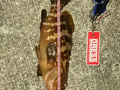 諦めかけた瞬間に