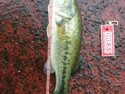 ちっちゃいけど