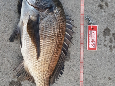 見島50up