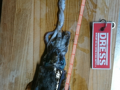 釣果