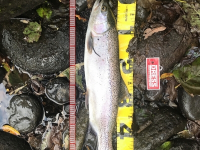 忠別川ダム下流付近